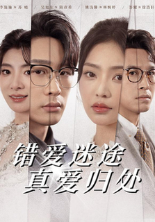 错爱迷途真爱归处 第01-38集(大结局)