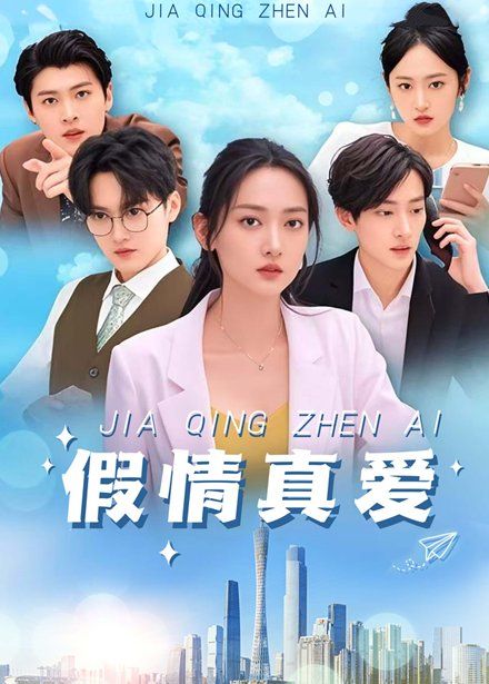 假情真爱 第001-030集