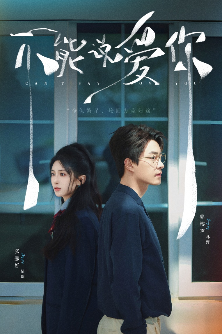 不能说爱你 第31-64集(大结局)