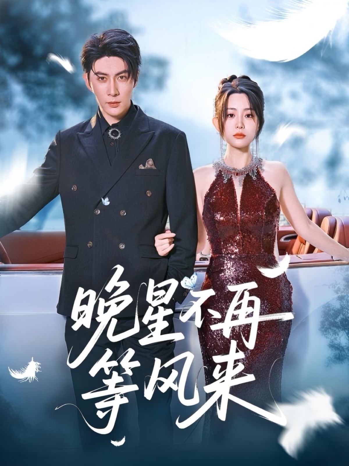 晚星不再等风来 第01-30集