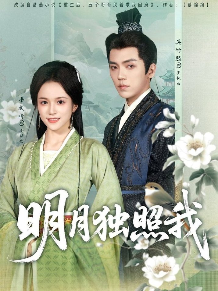 明月独照我(全集)