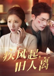 疾风起旧人离(全集)