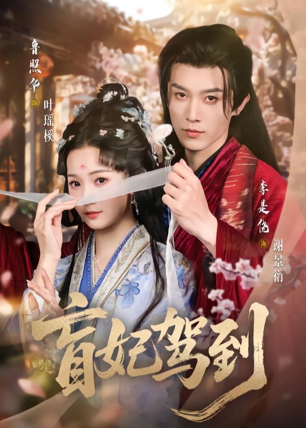 盲妃驾到(全集)