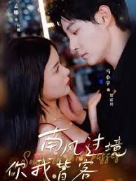 南风国境你我皆客 第42集