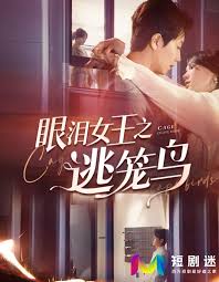 眼泪女王之逃笼鸟 第01集