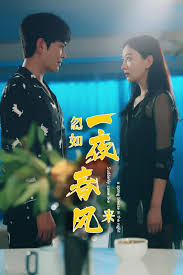 忽如一夜春风来 第01集