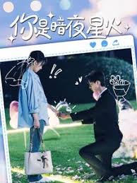 你是暗夜星火 第101集