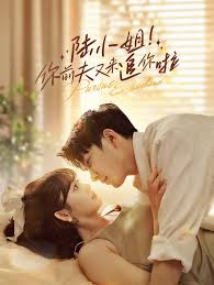 陆小姐！你前夫又来追你啦 第01集