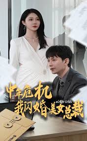 中年危机我闪婚美女总裁 第01集