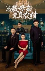 总裁母亲来自农村 第01集