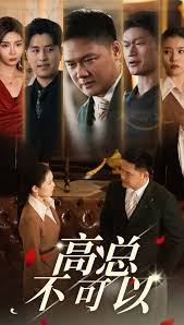 高总不可以 第01-20集