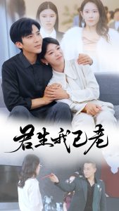 君生我已老 第01-30集