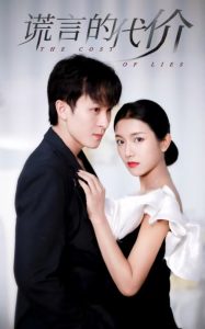 谎言的代价 第01-30集(大结局)