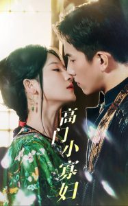 高门小寡妇 第31-60集(大结局)