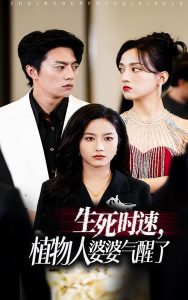 生死时速 第01-20集