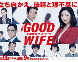 傲骨贤妻 第02集