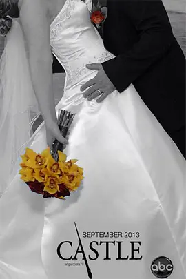 灵书妙探 第六季 第16集