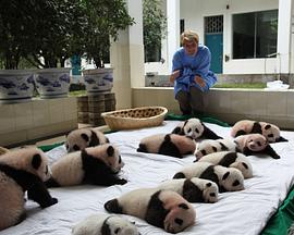 荒野救援 第01集