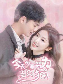 今天也要努力当只猫 第01集