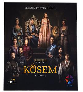 壮丽世纪 第11集上