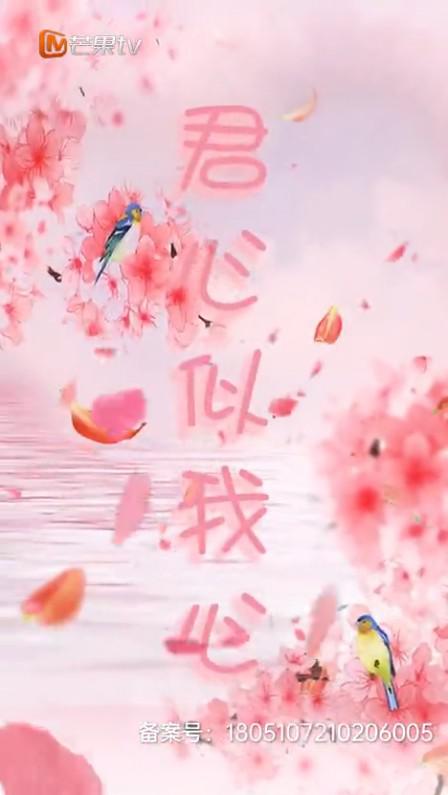 君心似我心 第12集