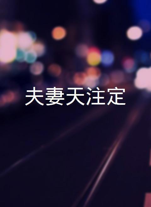 夫妻天注定 第101集