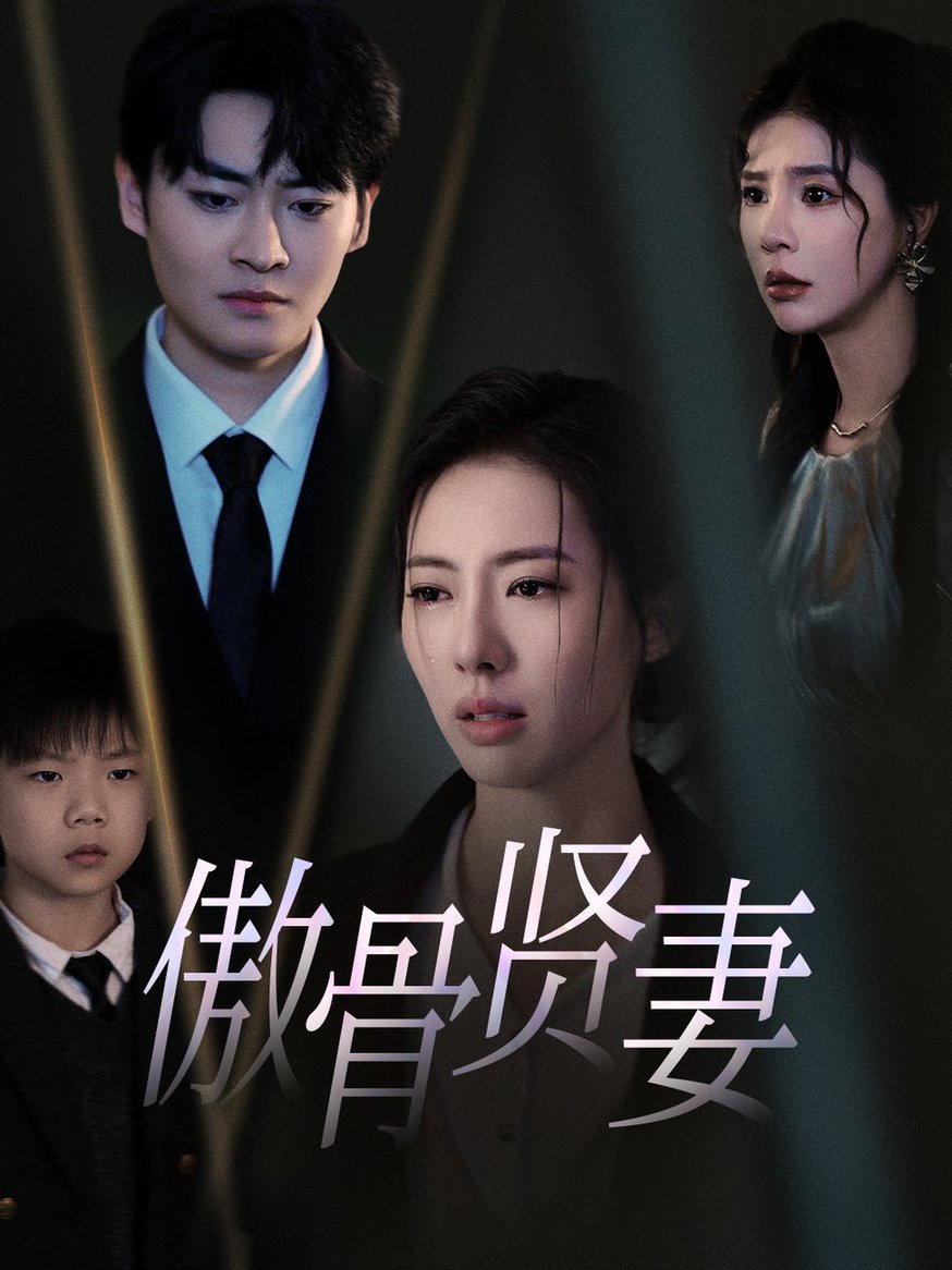 傲骨贤妻 第01-30集