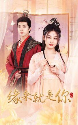 缘来就是你 第01-30集