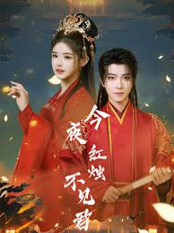 今夜红烛不见君 第01-30集