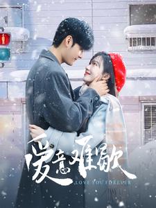 爱意难歇 第01-30集