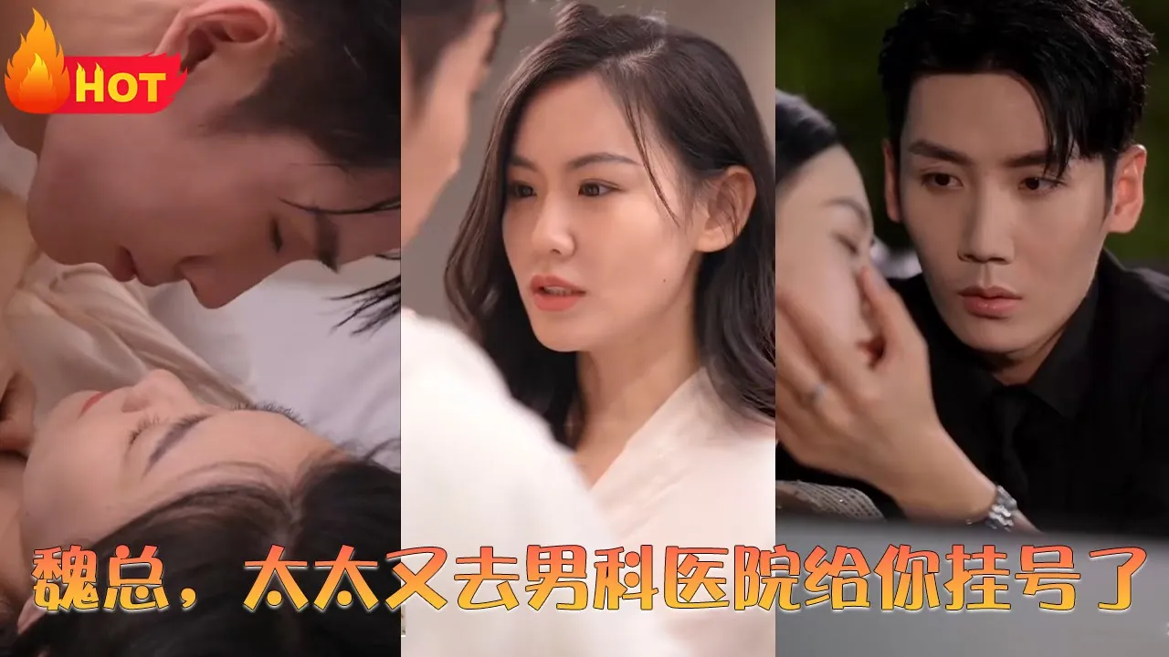 魏总，太太又去男科医院给你挂号了 全集(大结局)
