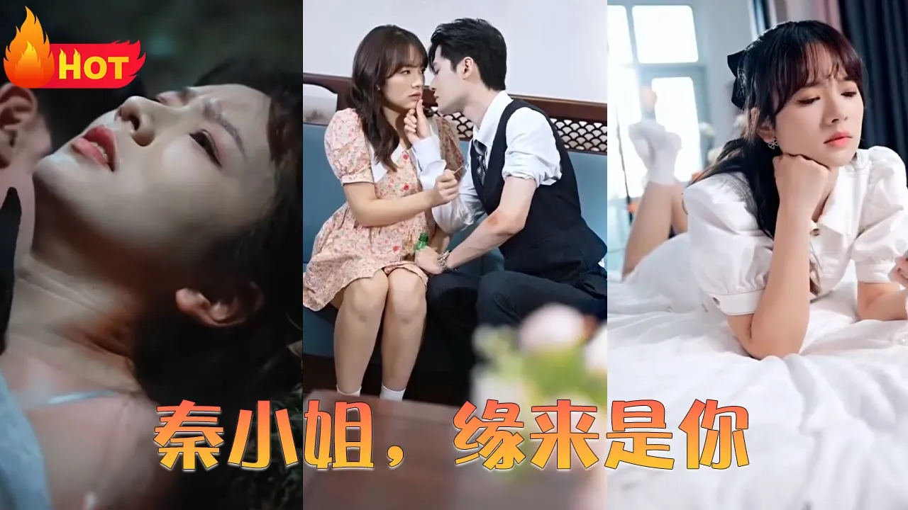 秦小姐，缘来是你 全集(大结局)