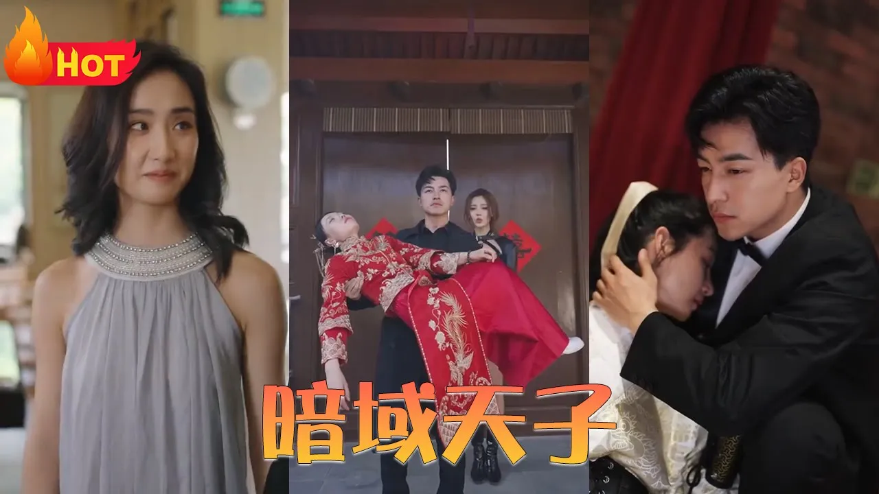 暗域天子 全集(大结局)